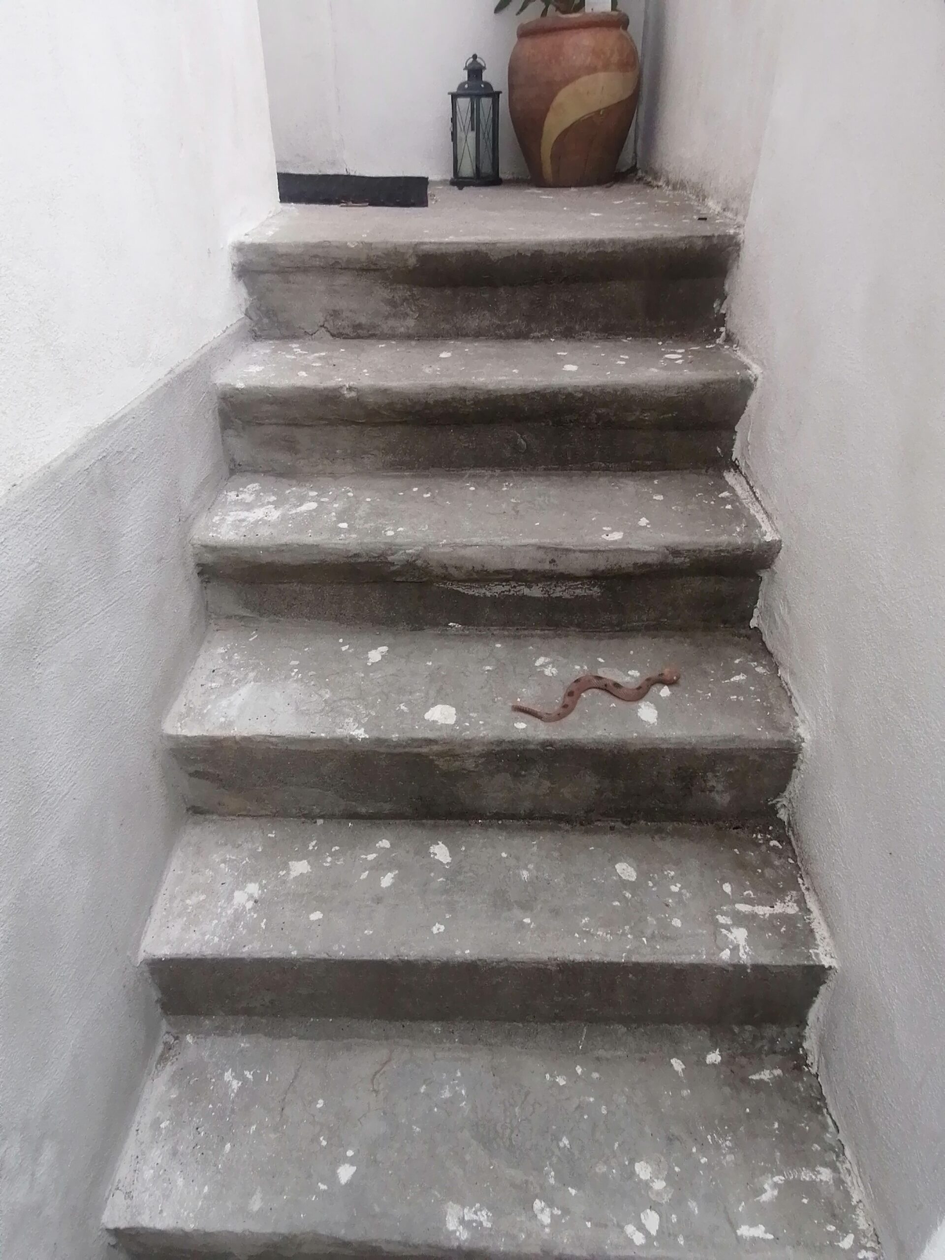 gammel trappe i beton
